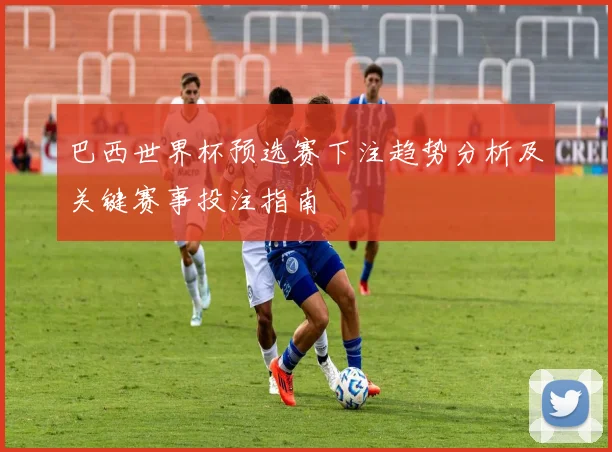 巴西世界杯预选赛下注趋势分析及关键赛事投注指南