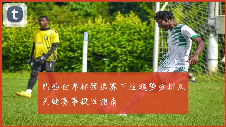 巴西世界杯预选赛下注趋势分析及关键赛事投注指南