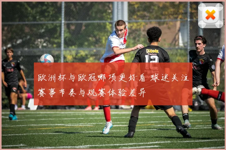 欧洲杯与欧冠哪项更好看 球迷关注赛事节奏与观赛体验差异