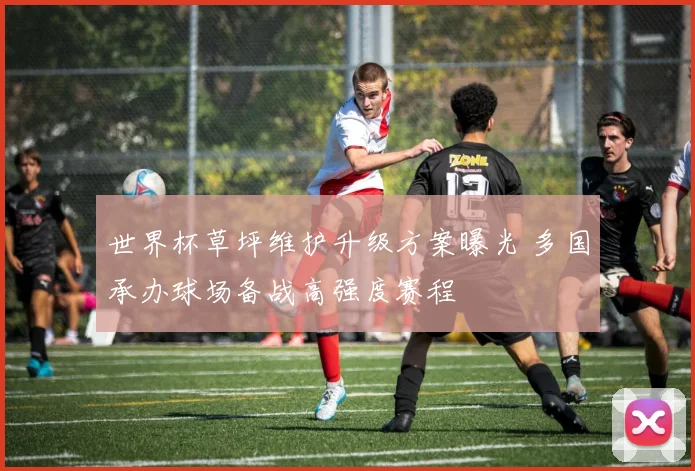 世界杯草坪维护升级方案曝光 多国承办球场备战高强度赛程