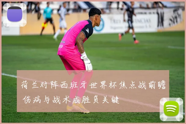 荷兰对阵西班牙世界杯焦点战前瞻 伤病与战术成胜负关键