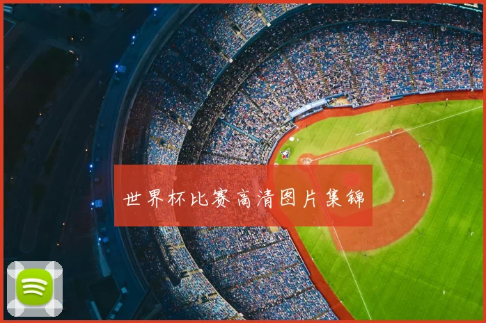 世界杯比赛高清图片集锦
