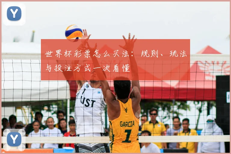 世界杯彩票怎么买法:规则、玩法与投注方式一次看懂